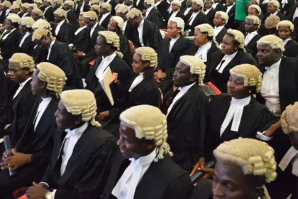 A Senior Advocate of Nigeria, SAN, Chief Joe Gadzama, has thrown his weight behind the establishment of a new umbrella body for lawyers in the country other than the Nigerian Bar Association, NBA.