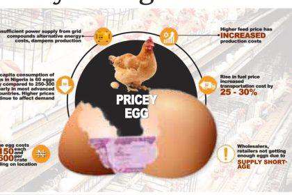 Stakeholders in the poultry industry are sounding the alarm over the impending collapse of the sector if urgent interventions are not implemented soon.