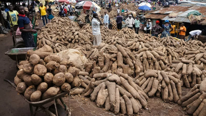 The Permanent Secretary of the Federal Ministry of Agriculture and Rural Development (FMARD), Ernest Umakihe, has raised concerns that Nigeria may soon be importing yam for local consumption from China.