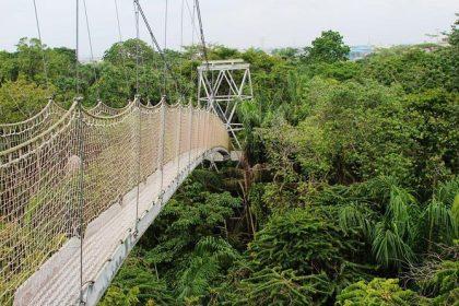 he Lagos State Government and the Lekki Conservation Centre have reopened the Centre's Walkway to the public.
