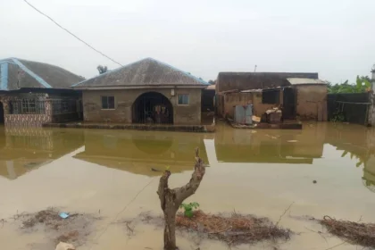 The National Emergency Management Agency (NEMA) has revealed that floods have impacted 27 states across Nigeria, affecting 227,494