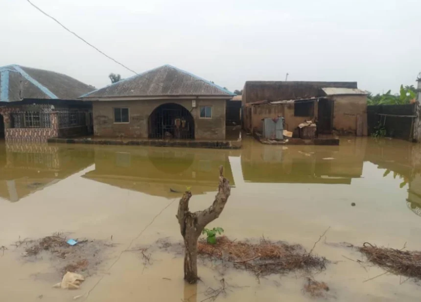 The National Emergency Management Agency (NEMA) has revealed that floods have impacted 27 states across Nigeria, affecting 227,494