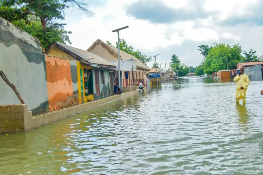 Flood Washes Away Over 5,000 Houses in Yobe's Yusufari LGA