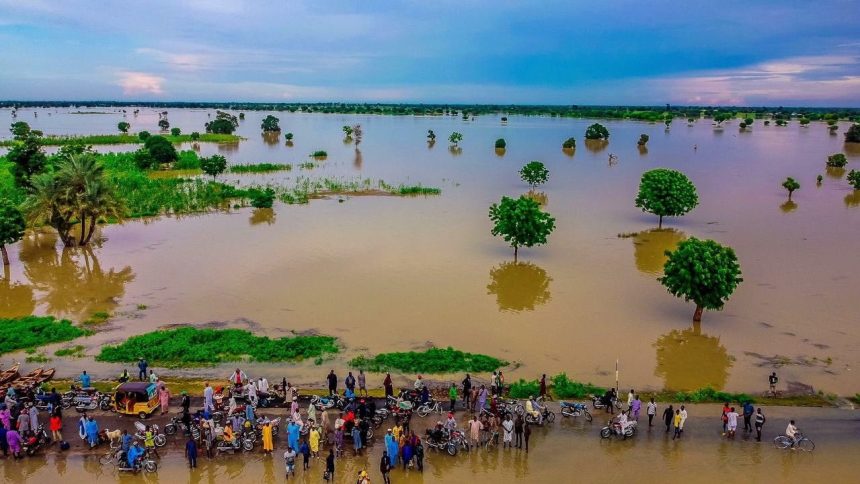 The Federal Government has issued a warning to states along the River Niger and Benue axis as authorities in Cameroon begin the gradual release of water