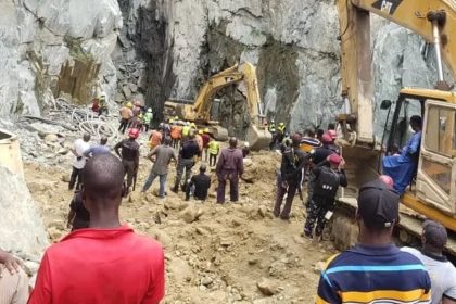 The Director-General of the National Space Research and Development Agency (NASRDA), Matthew Adepoju, has urged the federal government to take decisive action against illegal mining activities in Abuja.