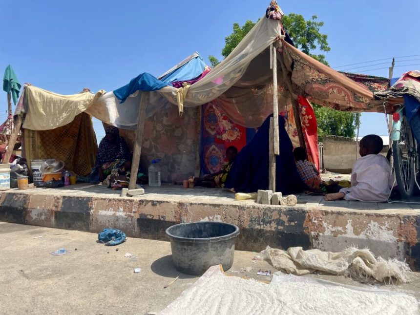 Following the devastating floods in Maiduguri and Jere, Borno State, many displaced residents have resorted to setting up makeshift tents