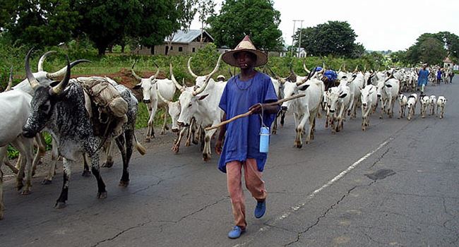 Two herders, Musa Haruna, 25, and Saliu Sanusi, 27, appeared before an Ado-Ekiti Chief Magistrates’ Court on Friday for allegedly engaging in unlawful grazing