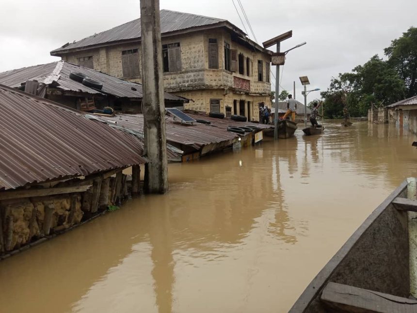 Over 60 communities in Ibaji Local Government Area (LGA) of Kogi State have been submerged by floodwaters, marking another devastating flood season in the area