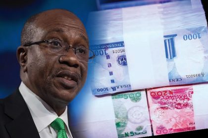 The trial of former Central Bank of Nigeria, CBN, Governor Godwin Emefiele continued on Thursday, November 14, 2024, at the Federal Capital Territory, FCT, High Court in Maitama