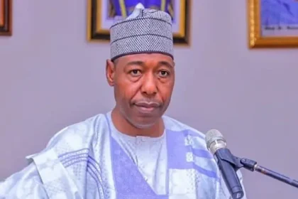 Governor Babagana Umara Zulum of Borno State has criticised the tax reform bills, saying it will drag the northern part of the country backward.