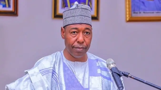 Governor Babagana Umara Zulum of Borno State has criticised the tax reform bills, saying it will drag the northern part of the country backward.