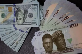 Naira rises to N1,755/$ in parallel market