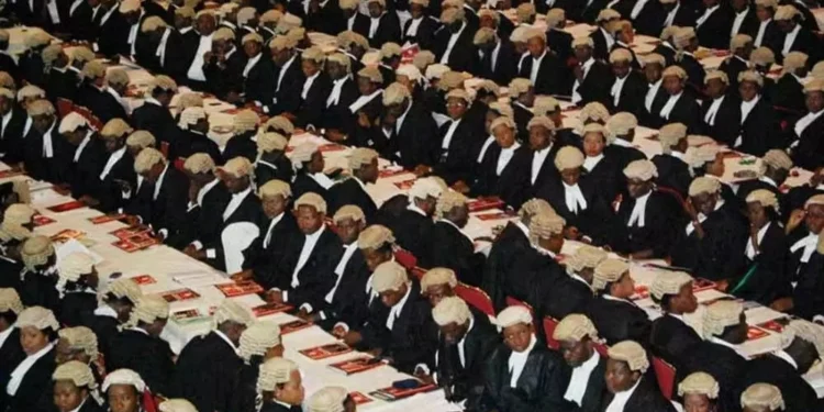 Lawyers in Nigeria Turn to Real Estate for Financial Stability Amid Economic Challenges