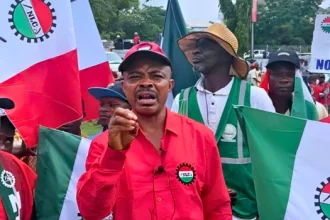 The Nigerian Labour Congress (NLC) has described as “absurd” the Federal Government’s allocation of N8 billion in the 2025 budget