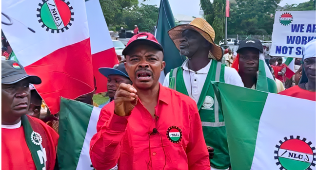 The Nigerian Labour Congress (NLC) has described as “absurd” the Federal Government’s allocation of N8 billion in the 2025 budget