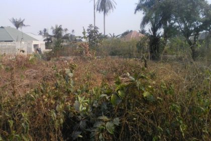 The Urum community in Awka North Local Government Area, Anambra State, has voiced concerns over the activities of land grabbers