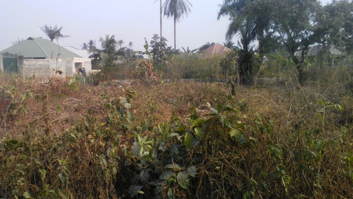 The Urum community in Awka North Local Government Area, Anambra State, has voiced concerns over the activities of land grabbers